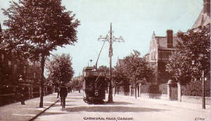 cathedralrd.jpg