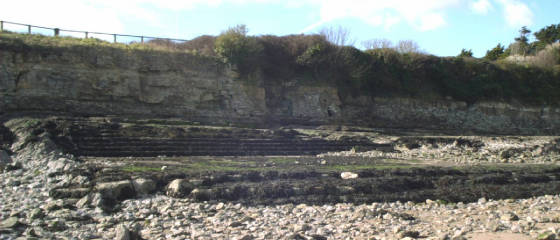 island2005pool.jpg