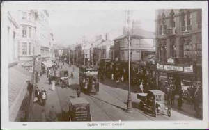 queenst1925bush.jpg